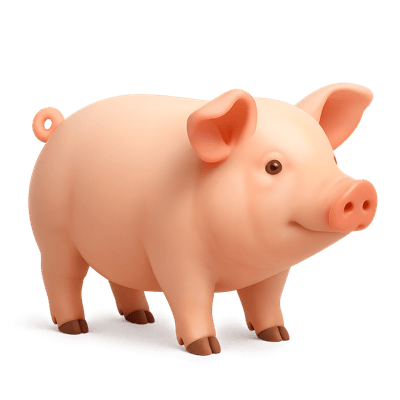 Icon of German Landrace Swine