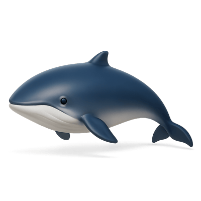 Icon of Rice'S Whale