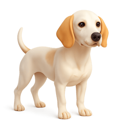 Icon of Porcelaine Dog