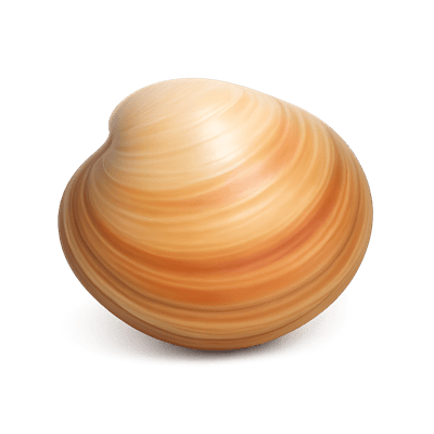 Icon of Northern Quahog