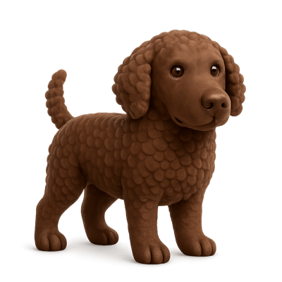Icon of Curly Coated Retriever Dog