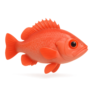 Icon of Pacific Ocean Perch