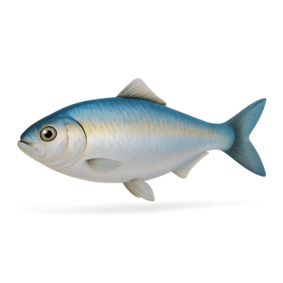 Icon of River Herring