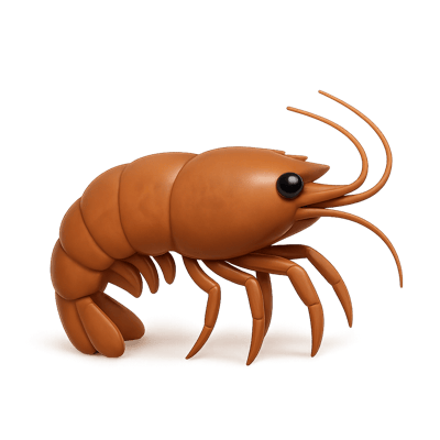 Icon of Brown Rock Shrimp