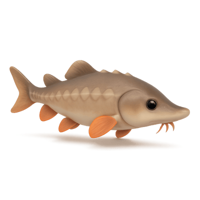 Icon of Shortnose Sturgeon