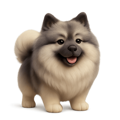 Icon of Keeshond Dog
