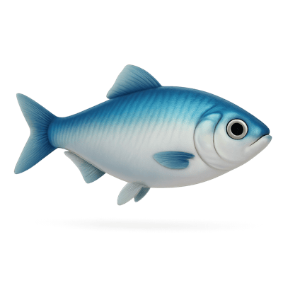 Icon of Pacific Herring