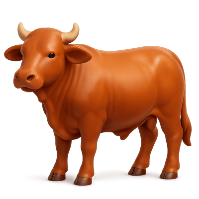 Icon of Droughtmaster Cattle
