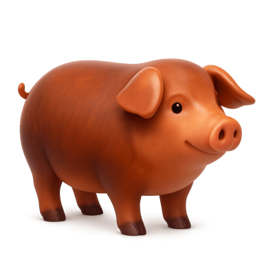 Icon of Arapawa Island Swine