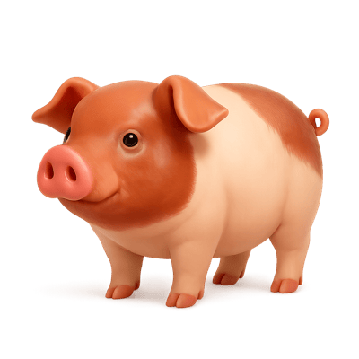 Icon of Ningxiang Swine