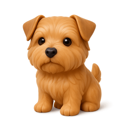 Icon of Norfolk Terrier Dog