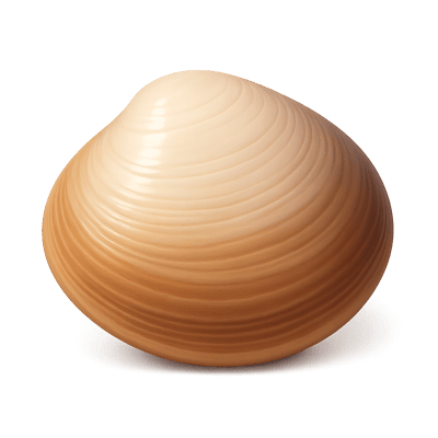 Icon of undefined