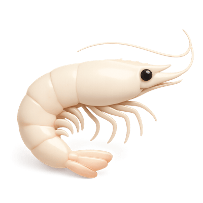 Icon of White Shrimp