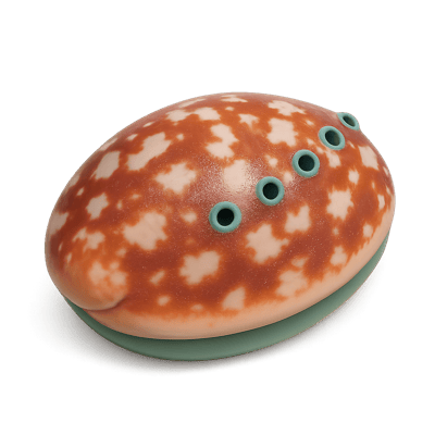 Icon of Pinto Abalone