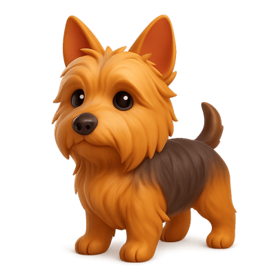 Icon of Australian Terrier Dog