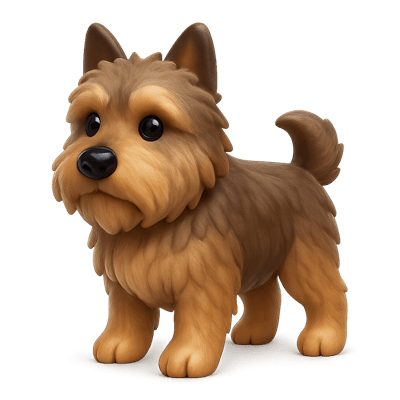 Icon of Bouvier Des Ardennes Dog