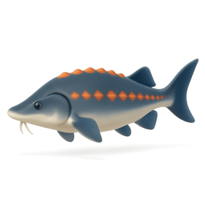 Icon of Sakhalin Sturgeon