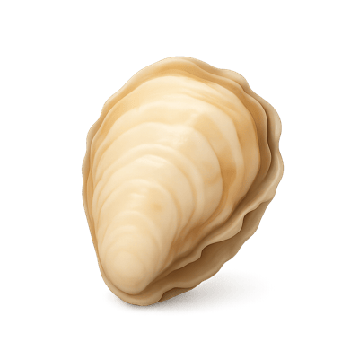 Icon of Pacific Oyster