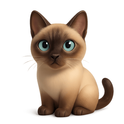 Icon of Tonkinese Cat