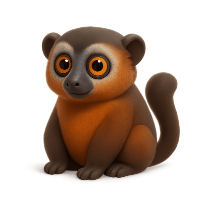 Icon of Red Bellied Lemur