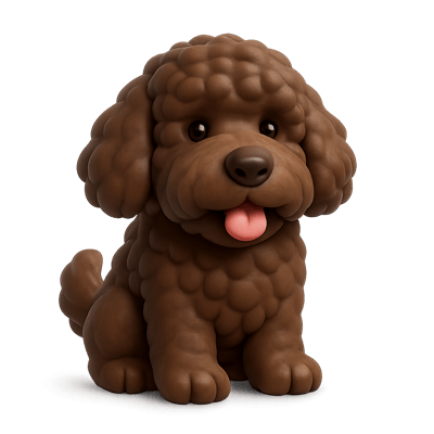 Icon of Barbet Dog